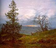 Johan Christian Dahl Evening Landscape with Shepherd China oil painting reproduction